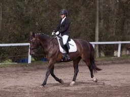 IMG_7938_web